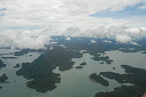  Regenwald 