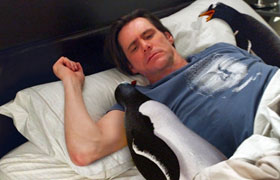Mr. Poppers Pinguine