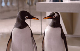 Mr. Poppers Pinguine