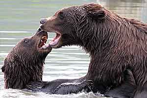 Imax - Alaska