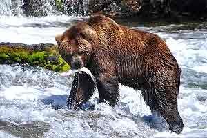 Imax - Alaska