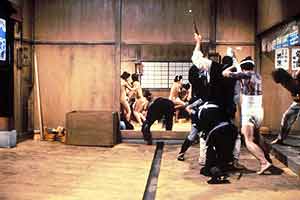 Das Schwert des Shogun