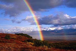 Das Alaska Experiment