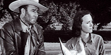John Wayne Collection - Freunde im Sattel