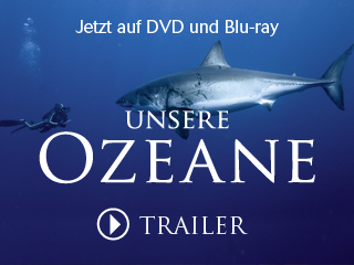 Klicken, um dieses Video zu sehen
