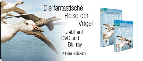Die fantastische Reise der Vögel