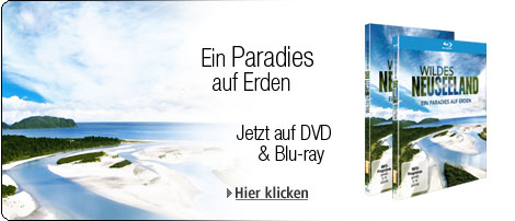 Die fantastische Reise der Vögel
