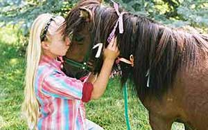 Das Geheimnis des wilden Mustangs