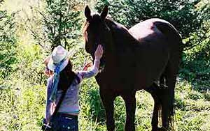 Das Geheimnis des wilden Mustangs