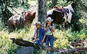Das Geheimnis des wilden Mustangs