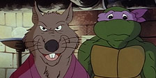 Teenage Mutant Ninja Turtles
