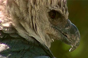 Das Weltnaturerbe - Schätze unserer Erde - Nordamerika/Mittelamerika