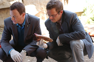 CSI NY