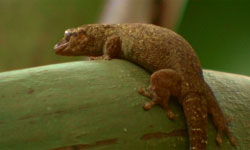 Weltnaturerbe