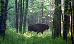 Weltnaturerbe
