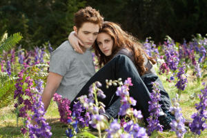Breaking Dawn 2