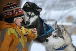 der husky mann