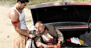 gringo