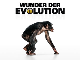 Klicken, um dieses Video zu sehen