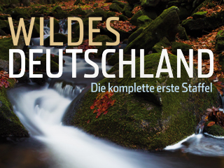 Klicken, um dieses Video zu sehen