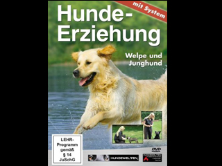 Klicken, um dieses Video zu sehen