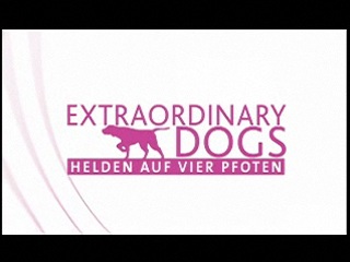 Klicken, um dieses Video zu sehen