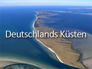 Klicken, um dieses Video zu sehen