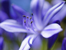 Brillante, rauscharme Bilder