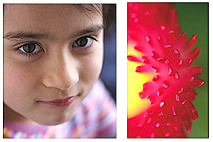 Portrait- und Makro-Fotografie