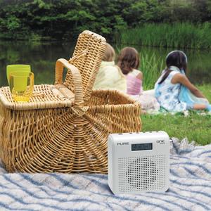 ONE Mini - idealer Begleiter beim Picknick