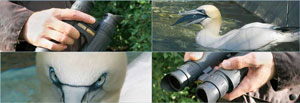 Stylebild SkyHawk-Fernglas