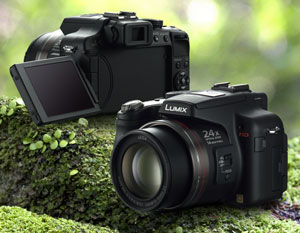 Panasonic Lumix DMC-FZ100EGK