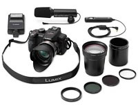 Panasonic Lumix DMC-FZ100EGK