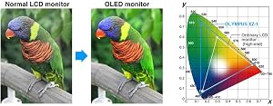 Bessere, kontrastreichere Bilder dank OLED-Technologie
