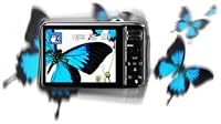 Digitale Bildstabilisation