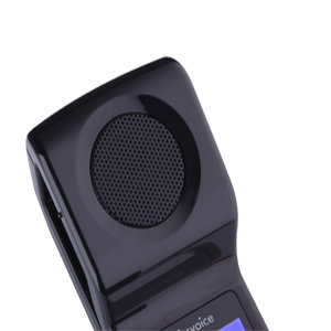 Audio e altoparlante