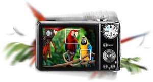 F&uuml;r gestochen scharfe Bilder