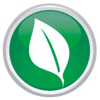 Logo CAVIAR Green Serie