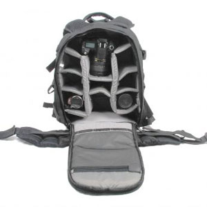Dynamic Shuttle M