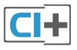 CI+