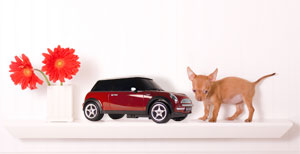 Mini Cooper CD-Radio rot