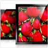 Für gestochen scharfe Bilder