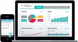 Waage synchronisiert Statistiken kabellos mit Fitbit.com