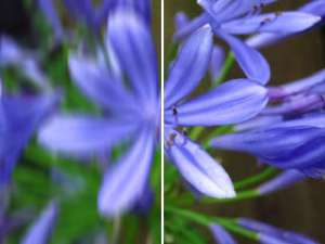 Intelligent IS: stabil in jeder Lebenslage