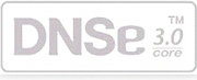 DNSE