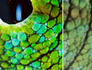It's all in the detail
