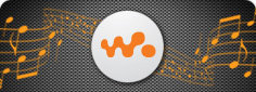 Walkman-Botton