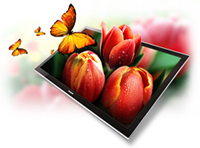 Samsung 3D