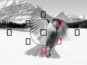 9-Punkt-AF-System, iFCL AE-Messsystem mit Dual-Layer-Sensor &uuml;ber 63 Zonen und Reihenaufnahmen mit bis zu 3,7 Bildern pro Sekunden - tolle Fotos leicht gemacht.
