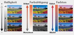 Kreativregler
